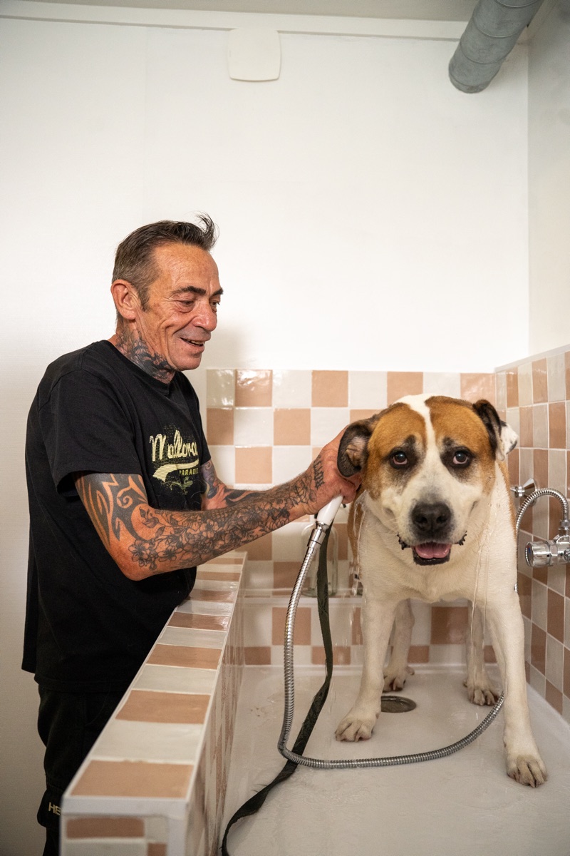 Lavage d'un chien dans le bac du dog wash